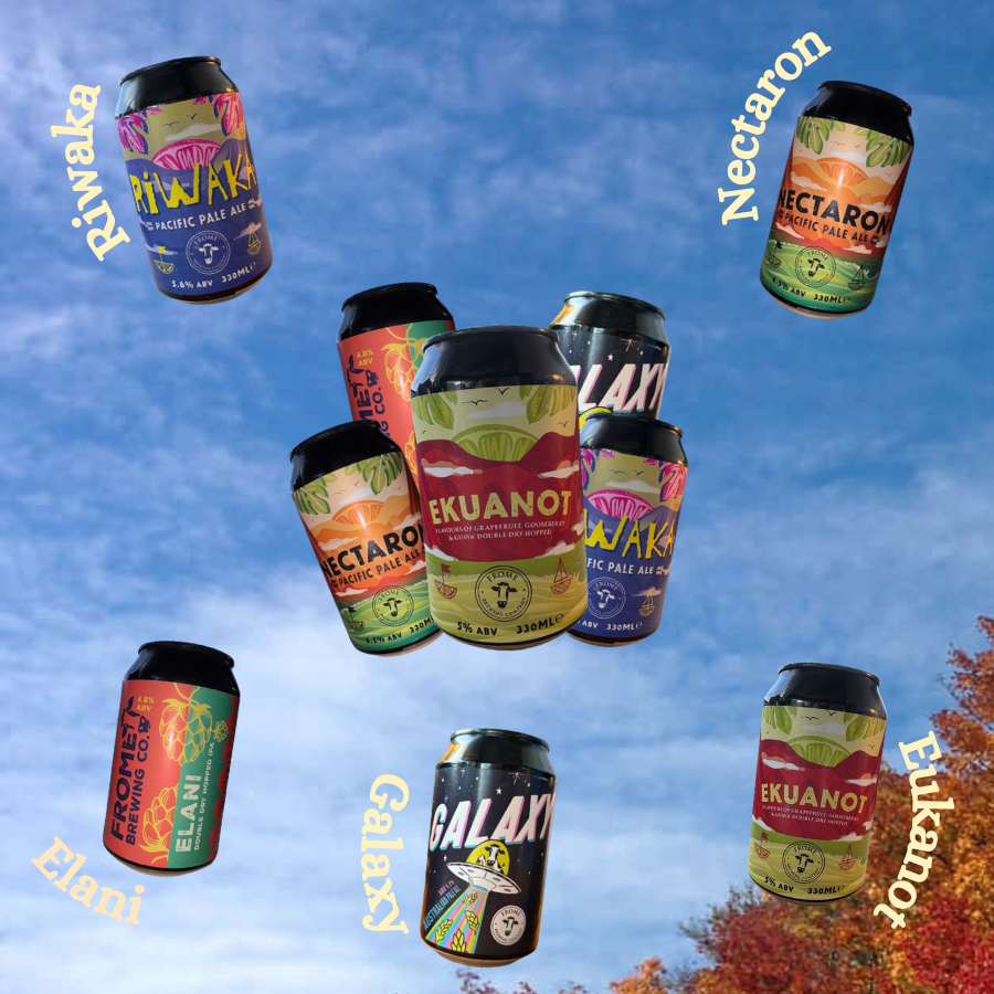 Try a mixed case of 330ml cans