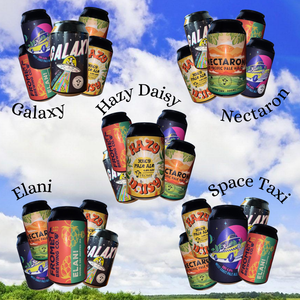 Try a mixed case of 330ml cans