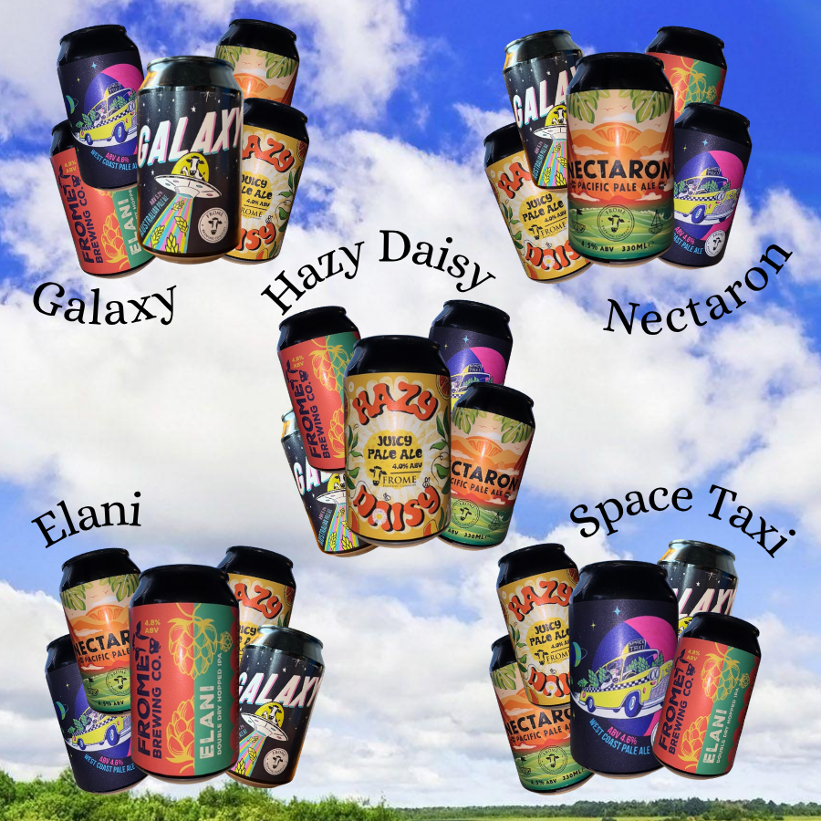 Try a mixed case of 330ml cans
