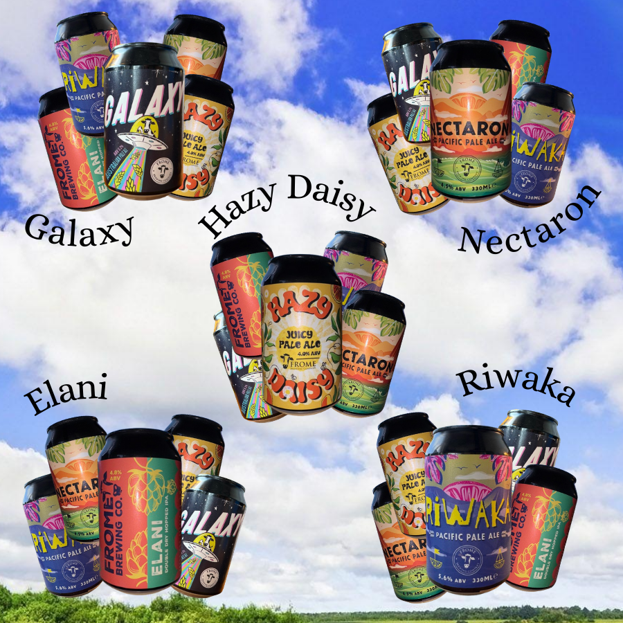 Try a mixed case of 330ml cans
