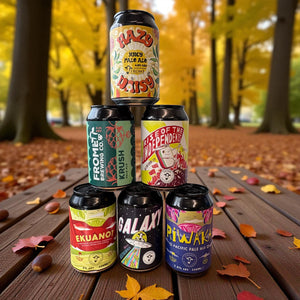 Try a mixed case of 330ml cans