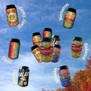 Try a mixed case of 330ml cans